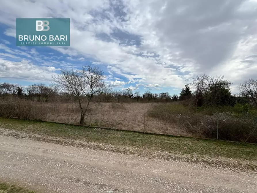 Immagine 4 di Terreno in vendita  in Via dei Templari a San Quirino