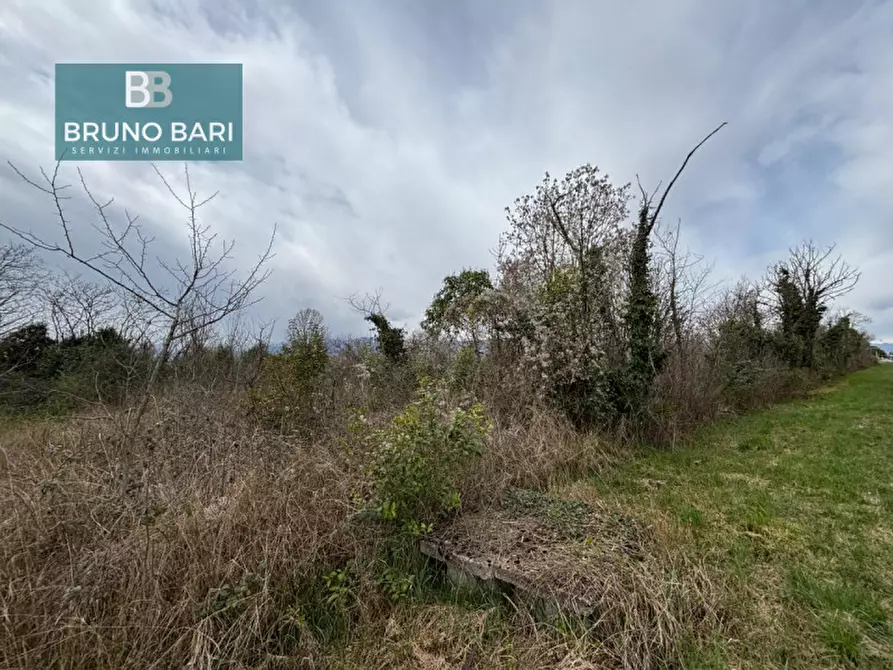 Immagine 7 di Terreno in vendita  in Via dei Templari a San Quirino