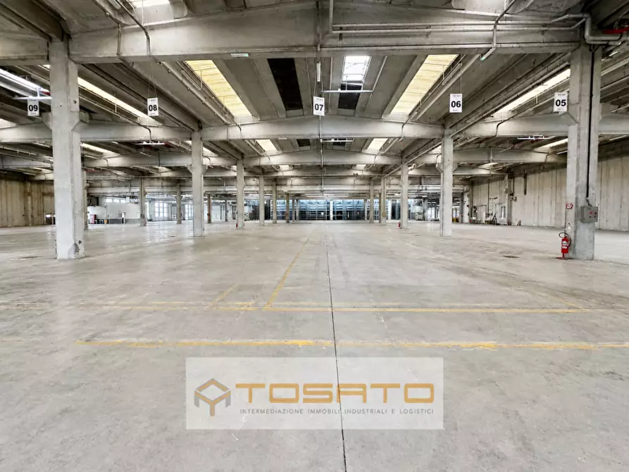 Immagine 3 di Capannone industriale in affitto  a Isola Rizza