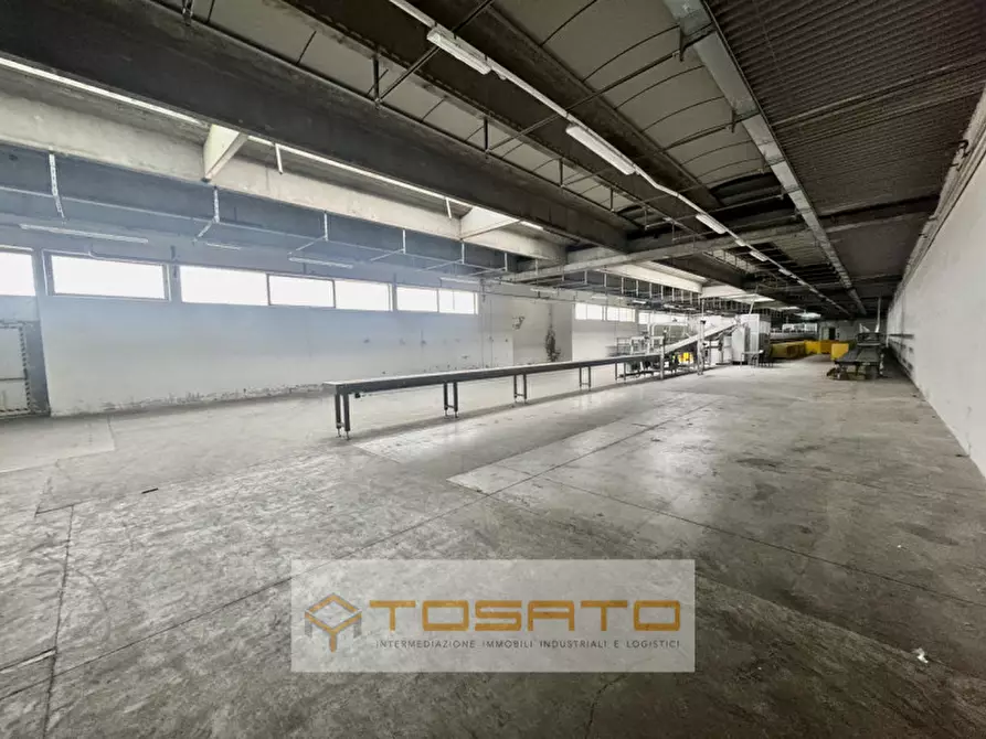 Immagine 23 di Capannone industriale in affitto  a Isola Rizza