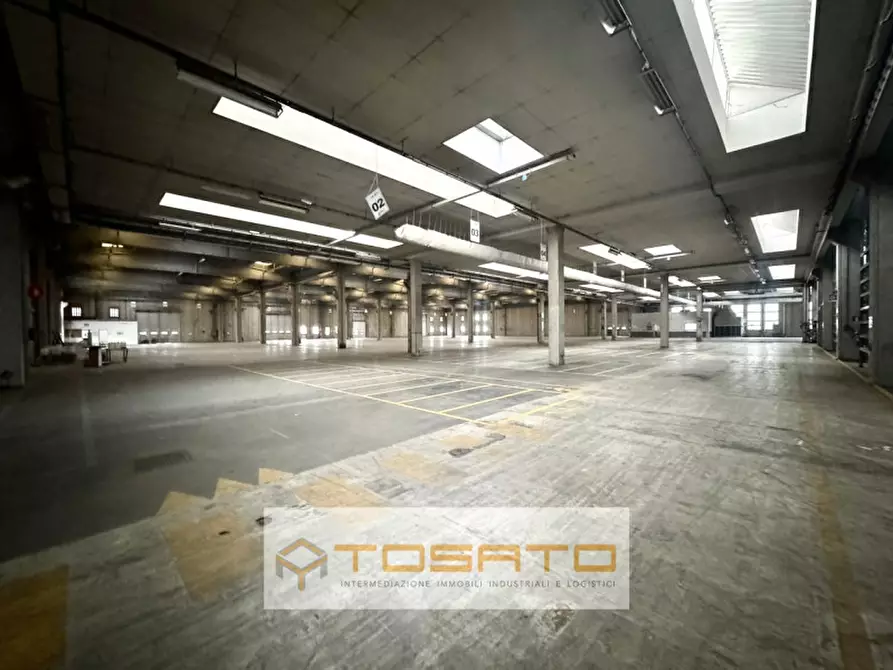 Immagine 36 di Capannone industriale in affitto  a Isola Rizza