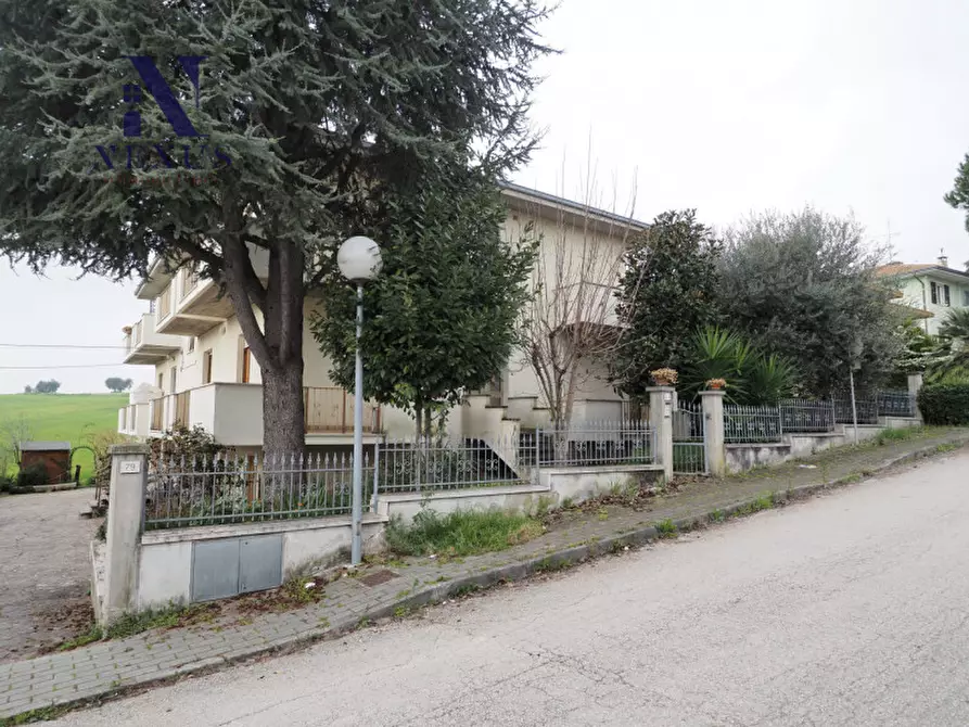 Immagine 3 di Appartamento in vendita  in Via della Libertà a Monte Porzio