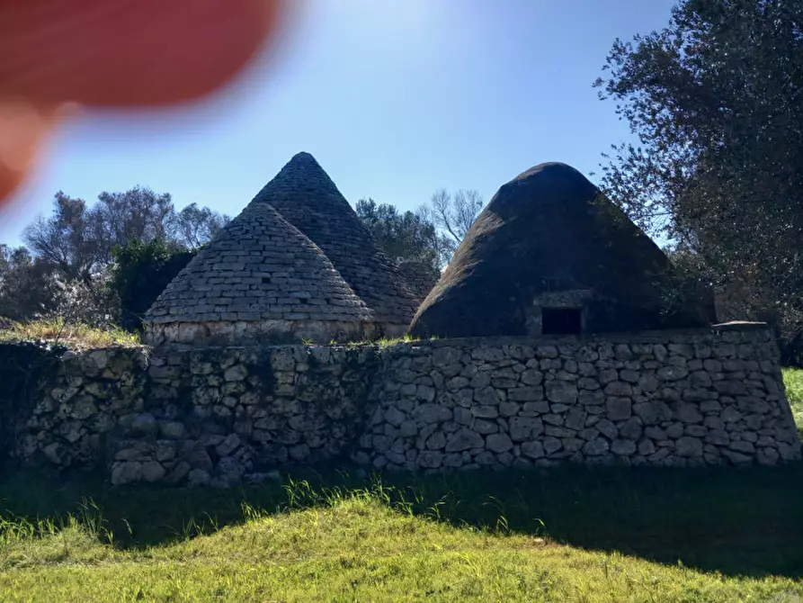 Immagine 3 di Rustico / casale in vendita  in C.da San Giovanni a San Michele Salentino