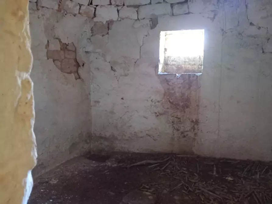 Immagine 14 di Rustico / casale in vendita  in C.da San Giovanni a San Michele Salentino