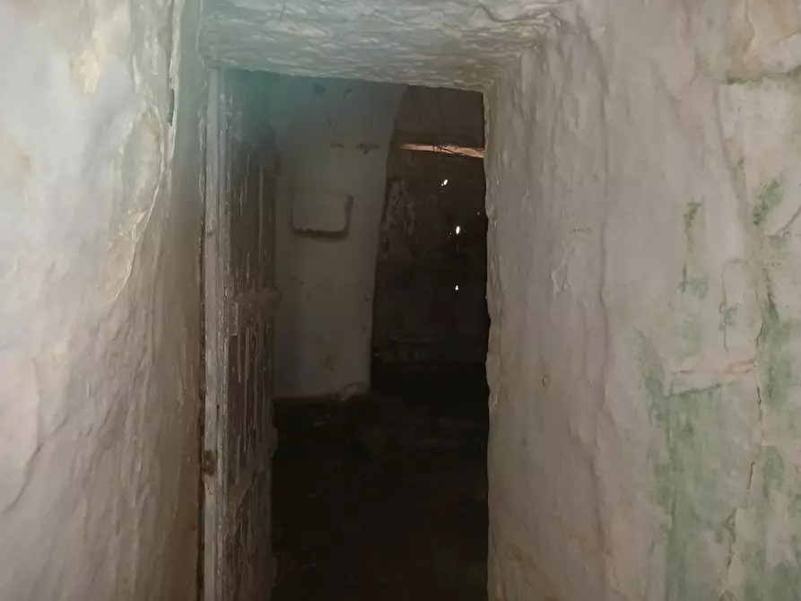 Immagine 15 di Rustico / casale in vendita  in C.da San Giovanni a San Michele Salentino