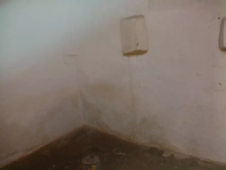 Immagine 17 di Rustico / casale in vendita  in C.da San Giovanni a San Michele Salentino