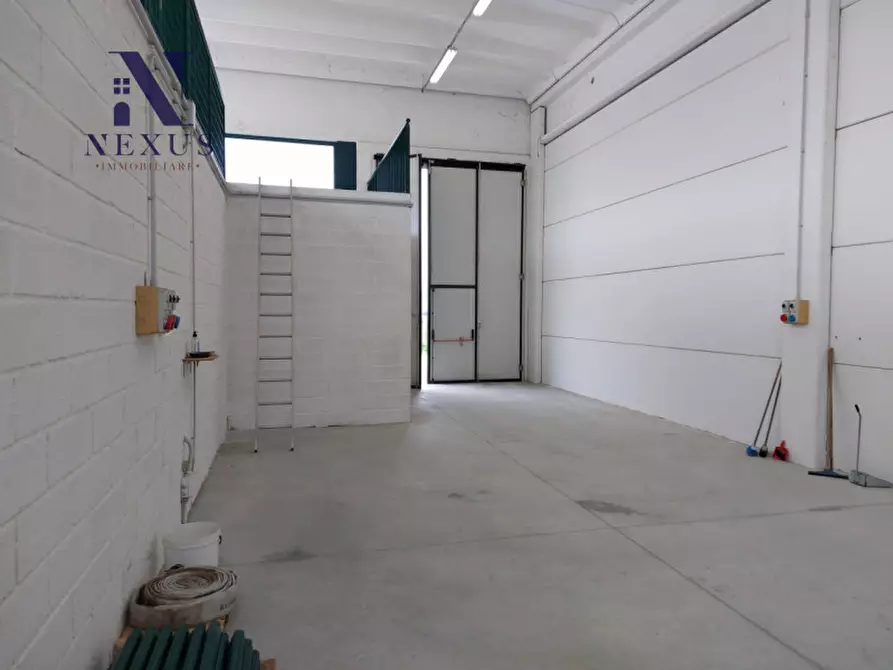 Immagine 10 di Capannone industriale in affitto  in Via della Pace a Cartoceto