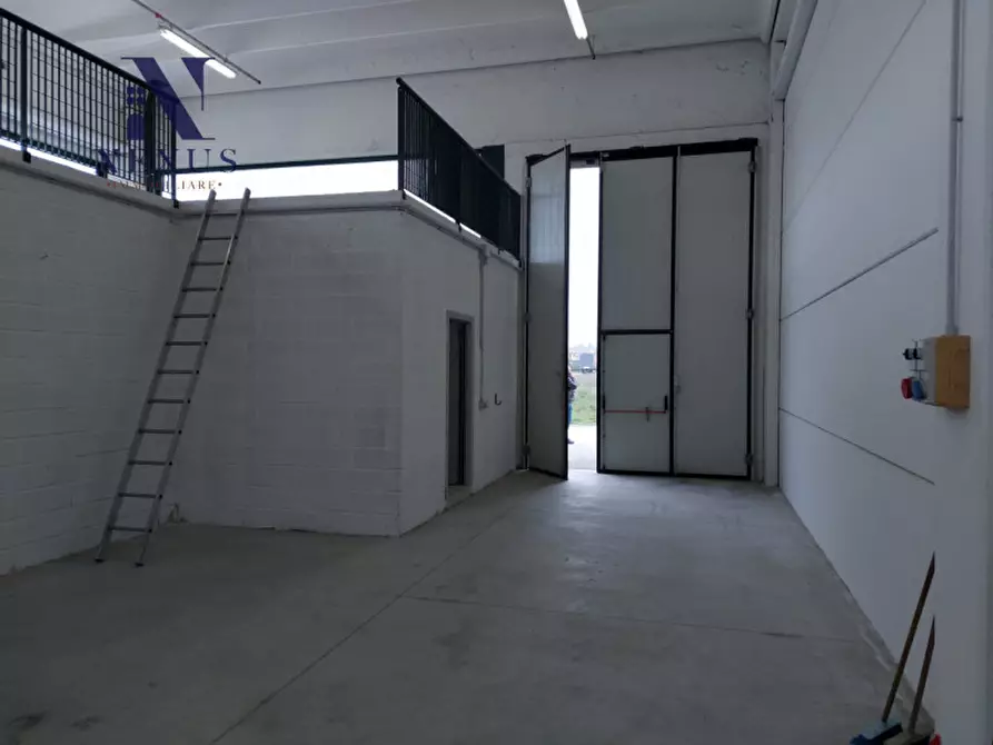 Immagine 12 di Capannone industriale in affitto  in Via della Pace a Cartoceto