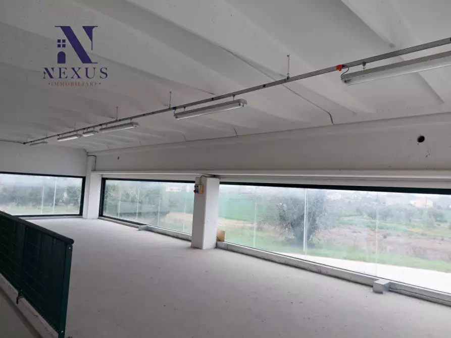 Immagine 14 di Capannone industriale in affitto  in Via della Pace a Cartoceto