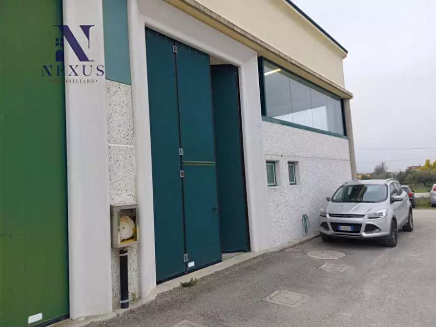 Immagine 16 di Capannone industriale in affitto  in Via della Pace a Cartoceto