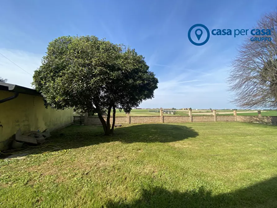 Immagine 54 di Casa indipendente in vendita  in Porto Tolle, Via Parri a Porto Tolle