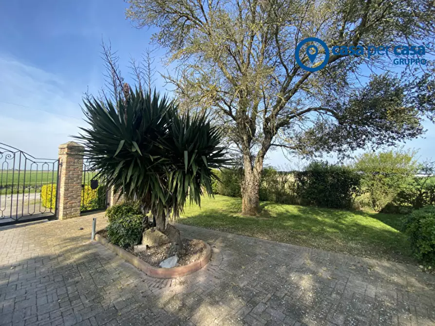 Immagine 58 di Casa indipendente in vendita  in Porto Tolle, Via Parri a Porto Tolle