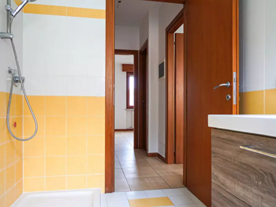 Immagine 16 di Appartamento in vendita  a Arcole