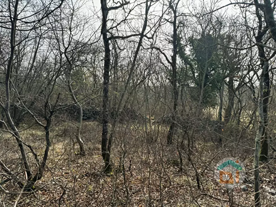 Immagine 4 di Terreno in vendita  in Frazione Bristie a Duino-Aurisina