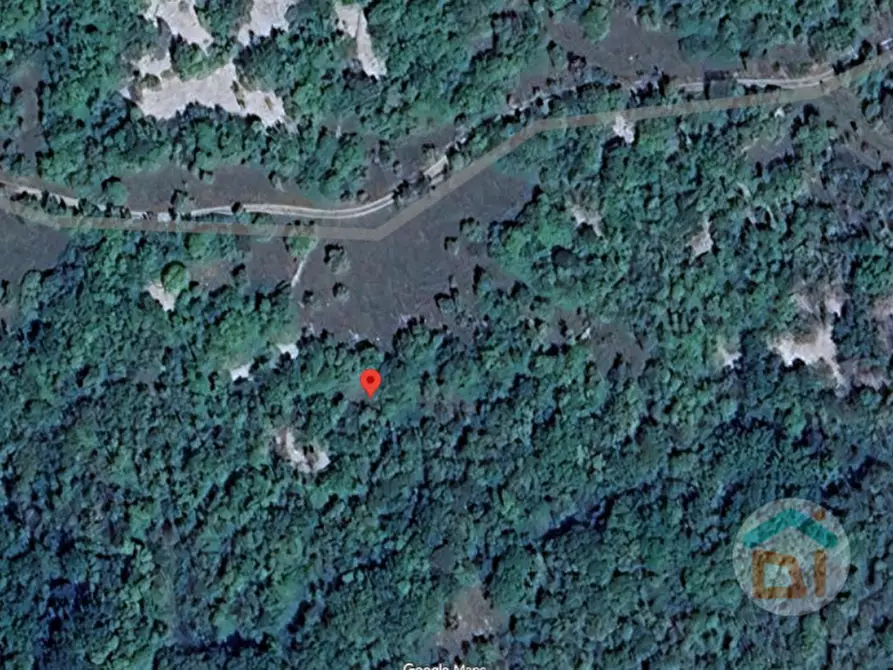 Immagine 8 di Terreno in vendita  in Frazione Bristie a Duino-Aurisina
