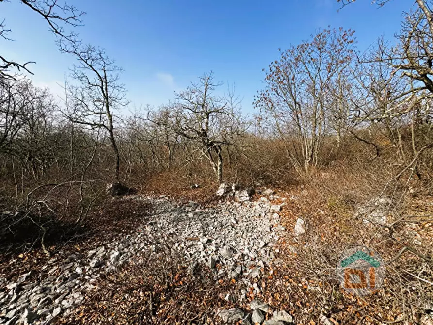 Immagine 12 di Terreno in vendita  in Frazione Bristie a Duino-Aurisina