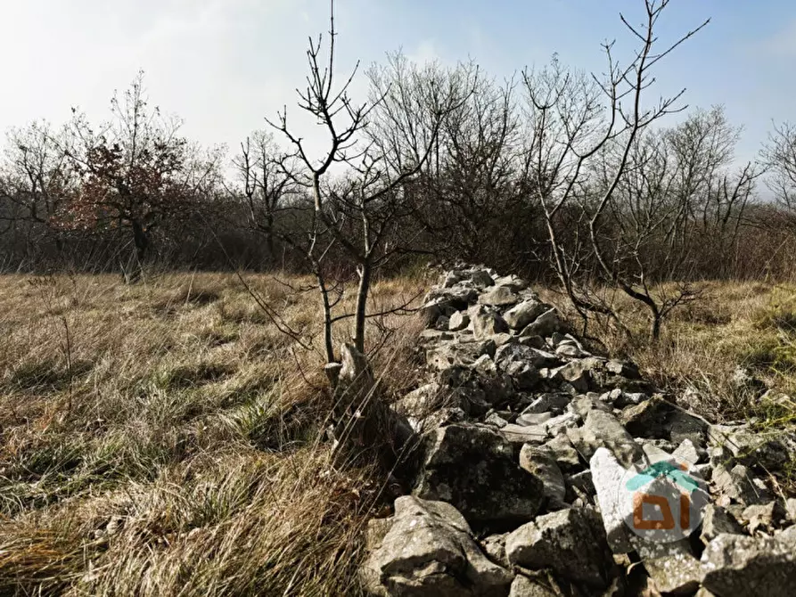 Immagine 19 di Terreno in vendita  in Frazione Bristie a Duino-Aurisina