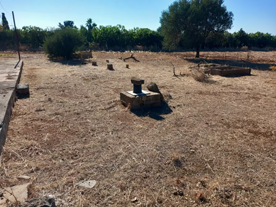Immagine 5 di Rustico / casale in vendita  in C.da Baccatani a Brindisi