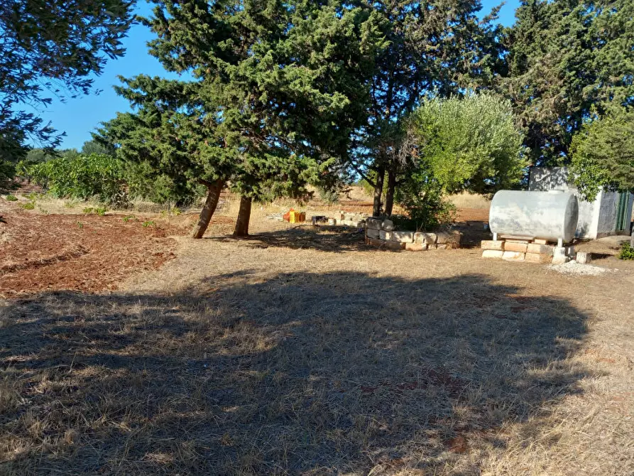 Immagine 11 di Rustico / casale in vendita  in C.da Baccatani a Brindisi