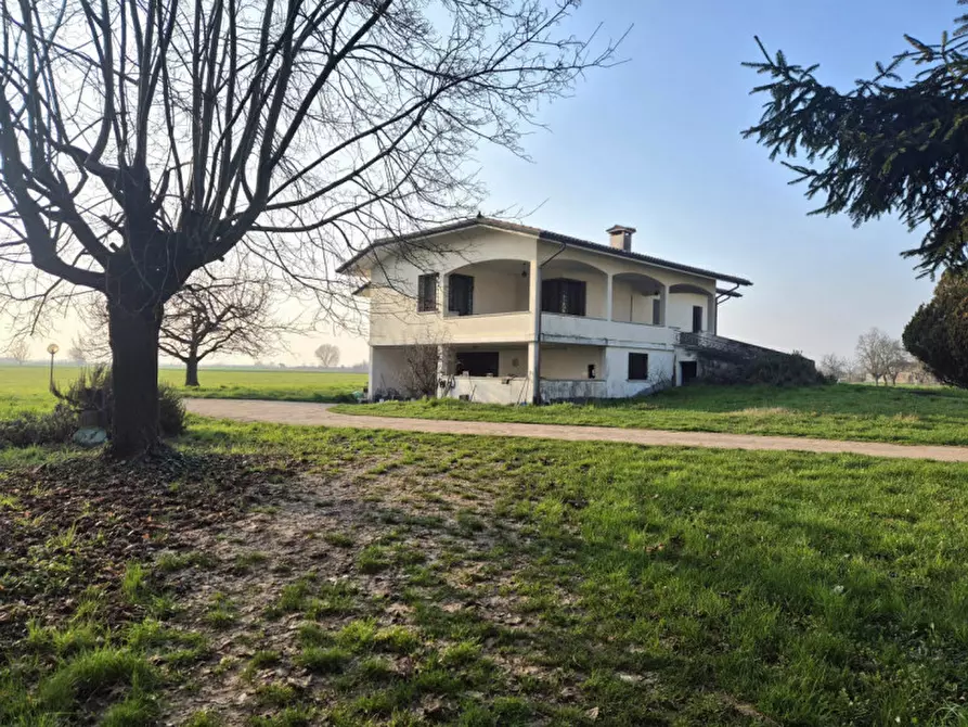 Immagine 1 di Casa indipendente in vendita  a Cologna Veneta