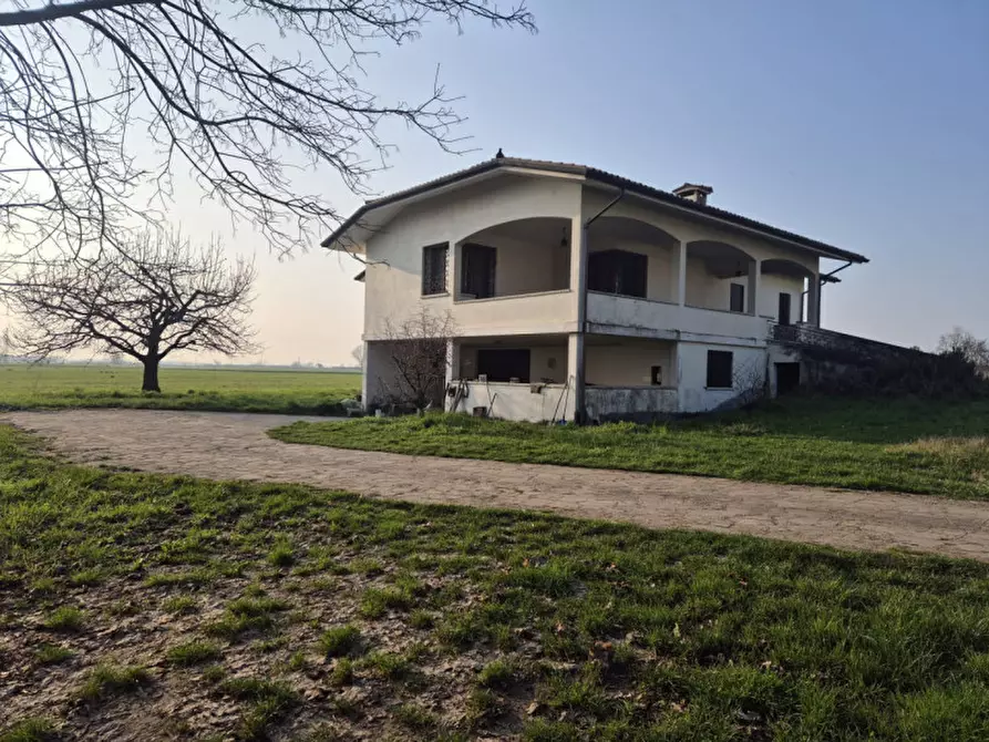 Immagine 2 di Casa indipendente in vendita  a Cologna Veneta