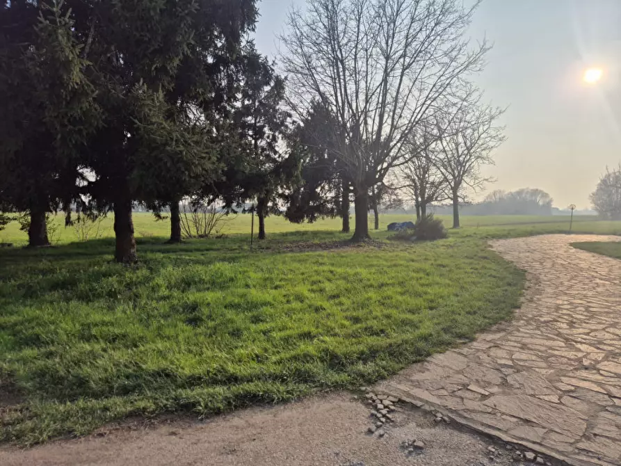 Immagine 3 di Casa indipendente in vendita  a Cologna Veneta