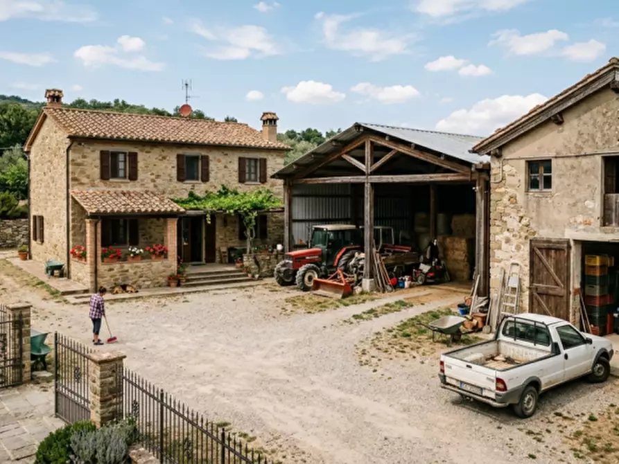 Immagine 1 di Agriturismo in vendita  in Pontoncello a Zevio
