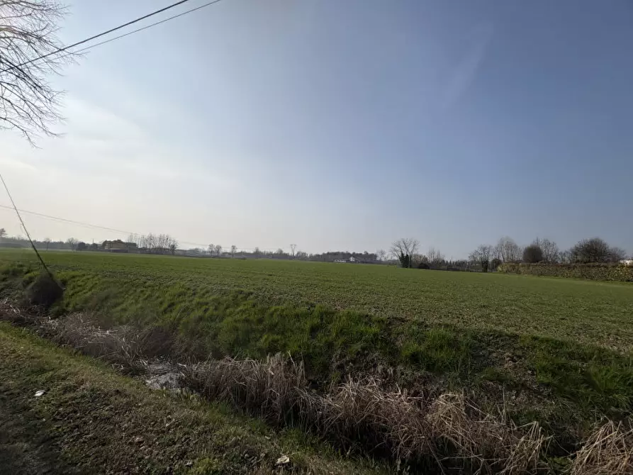 Immagine 2 di Terreno in vendita  in Via Boccalara a Saccolongo