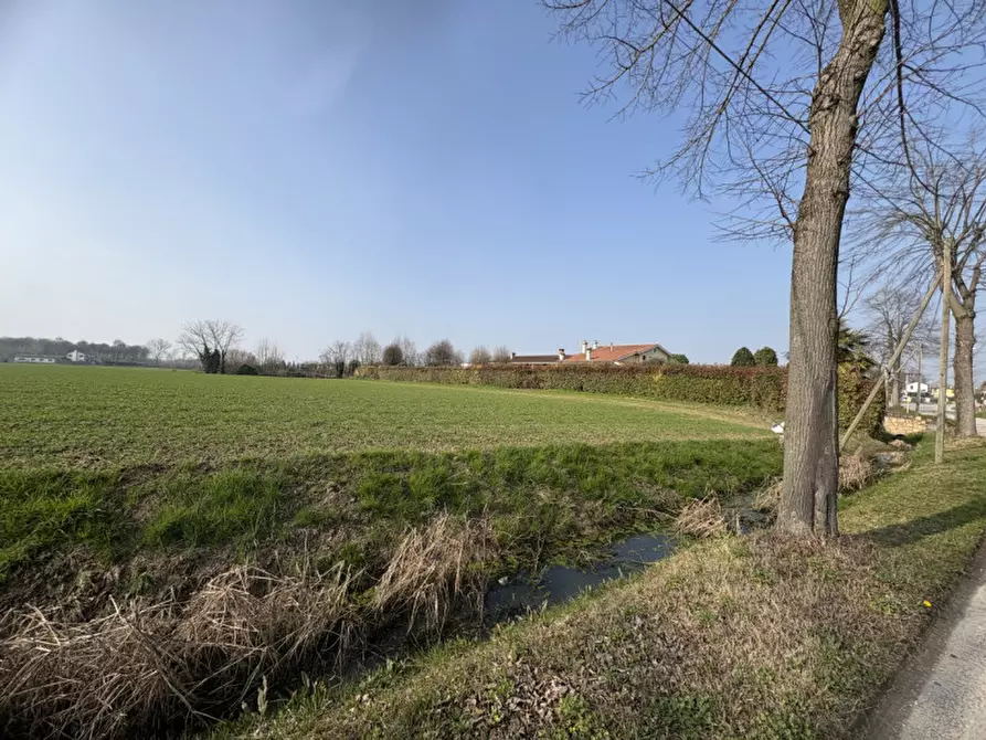 Immagine 3 di Terreno in vendita  in Via Boccalara a Saccolongo