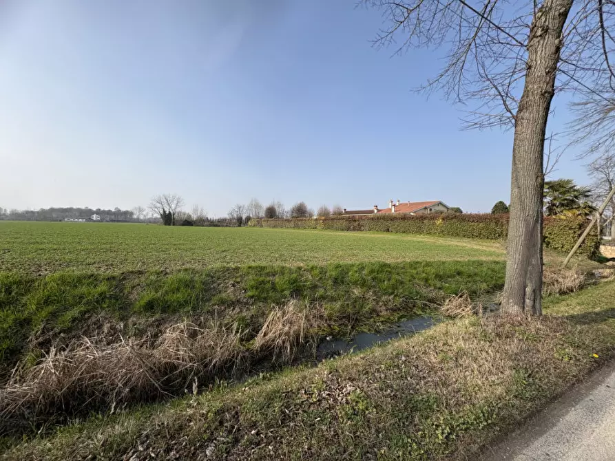 Immagine 4 di Terreno in vendita  in Via Boccalara a Saccolongo