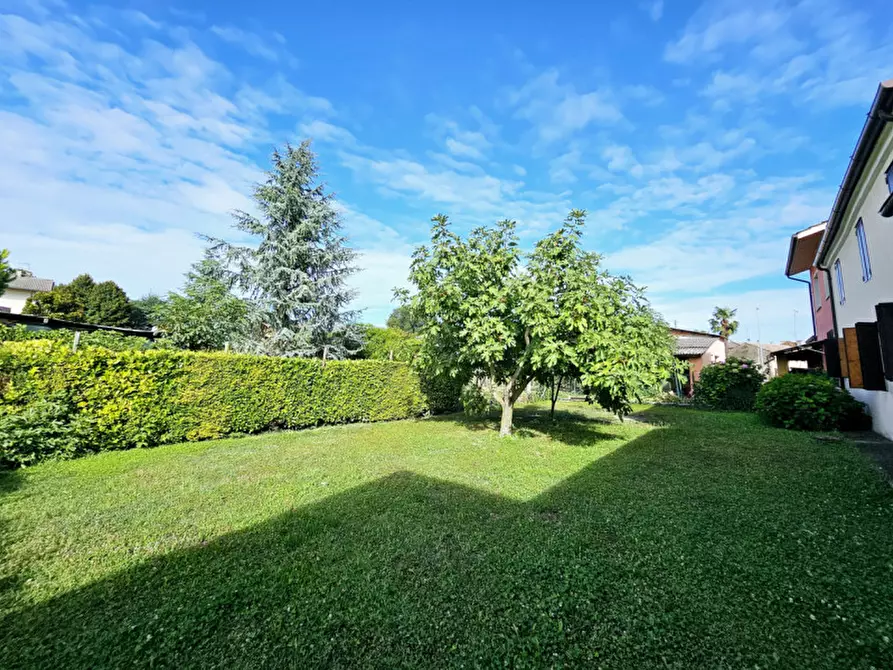 Immagine 3 di Casa bifamiliare in vendita  in Via Cabronziero a Merlara