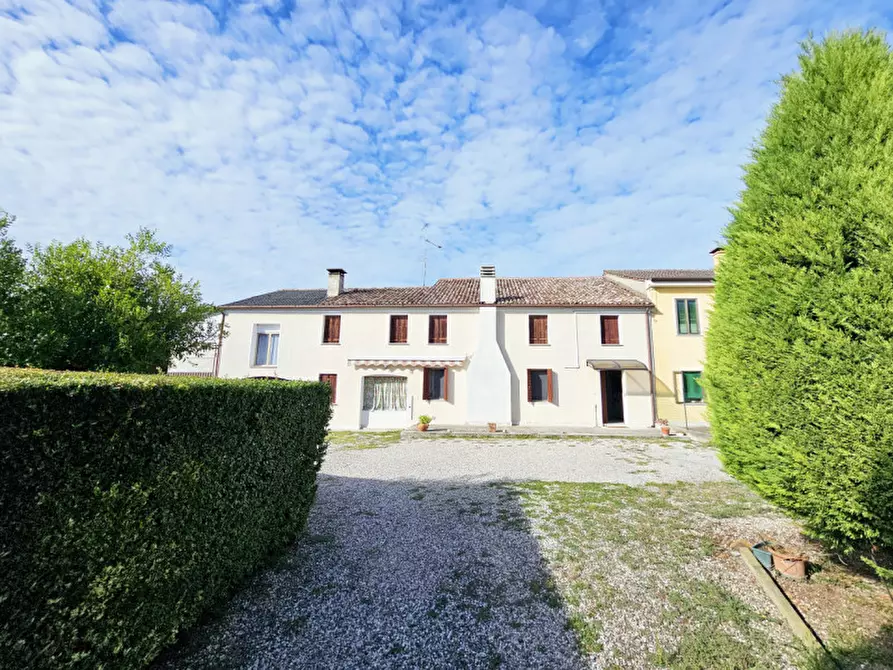 Immagine 9 di Casa bifamiliare in vendita  in Via Cabronziero a Merlara