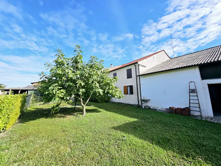 Immagine 19 di Casa bifamiliare in vendita  in Via Cabronziero a Merlara