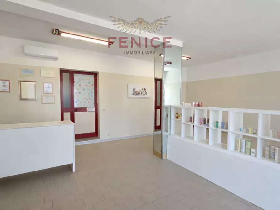 Immagine 21 di Appartamento in vendita  in Via Piave a Caerano Di San Marco