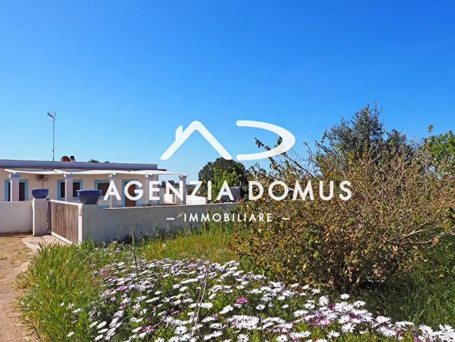 Immagine 4 di Casa bifamiliare in vendita  a Alliste