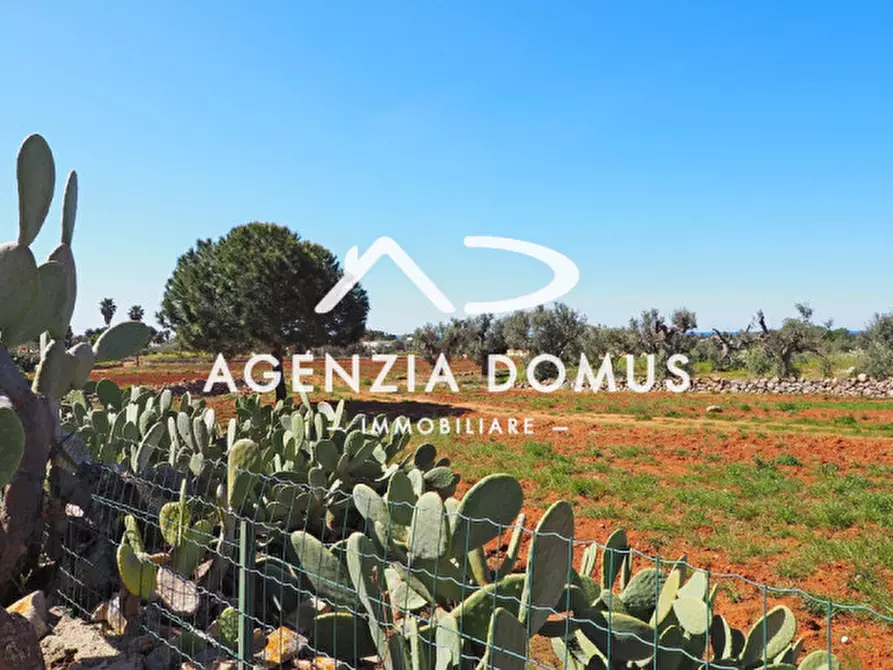 Immagine 7 di Casa bifamiliare in vendita  a Alliste