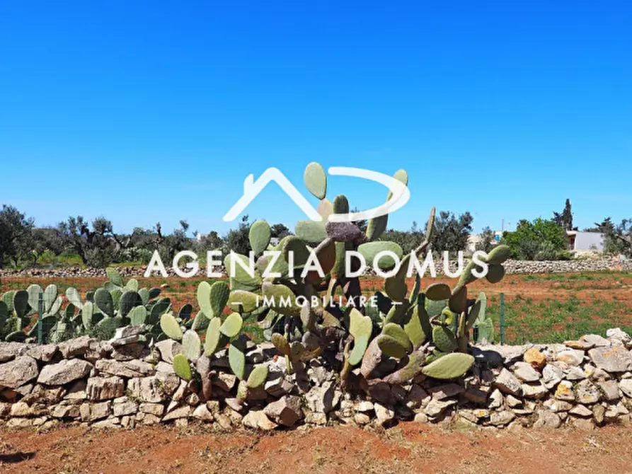 Immagine 12 di Casa bifamiliare in vendita  a Alliste