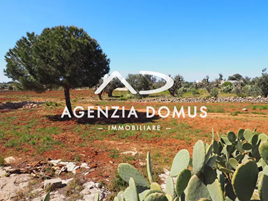 Immagine 13 di Casa bifamiliare in vendita  a Alliste