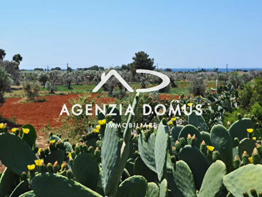 Immagine 21 di Casa bifamiliare in vendita  a Alliste