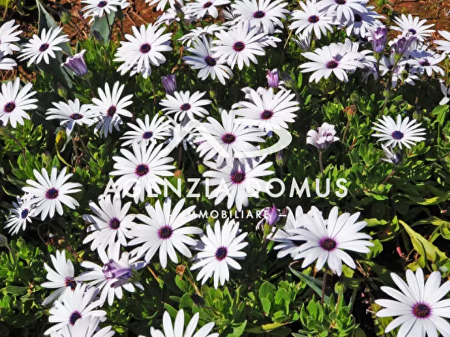 Immagine 22 di Casa bifamiliare in vendita  a Alliste