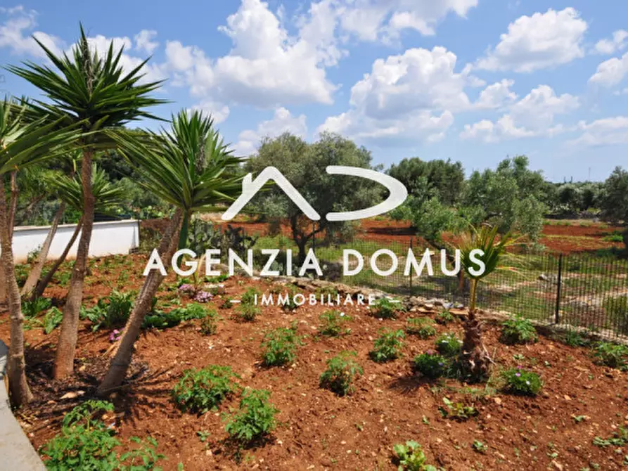 Immagine 23 di Casa bifamiliare in vendita  a Alliste