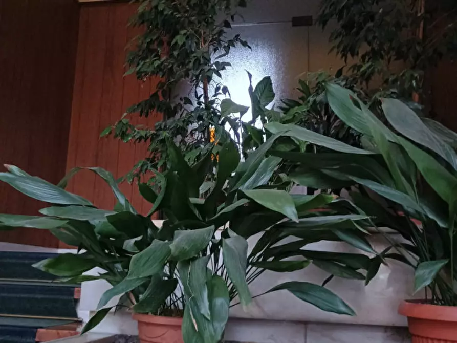 Immagine 15 di Appartamento in vendita  in Corso Bernardino Telesio 191 a Torino