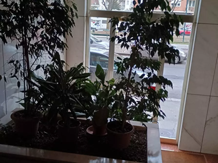 Immagine 16 di Appartamento in vendita  in Corso Bernardino Telesio 191 a Torino
