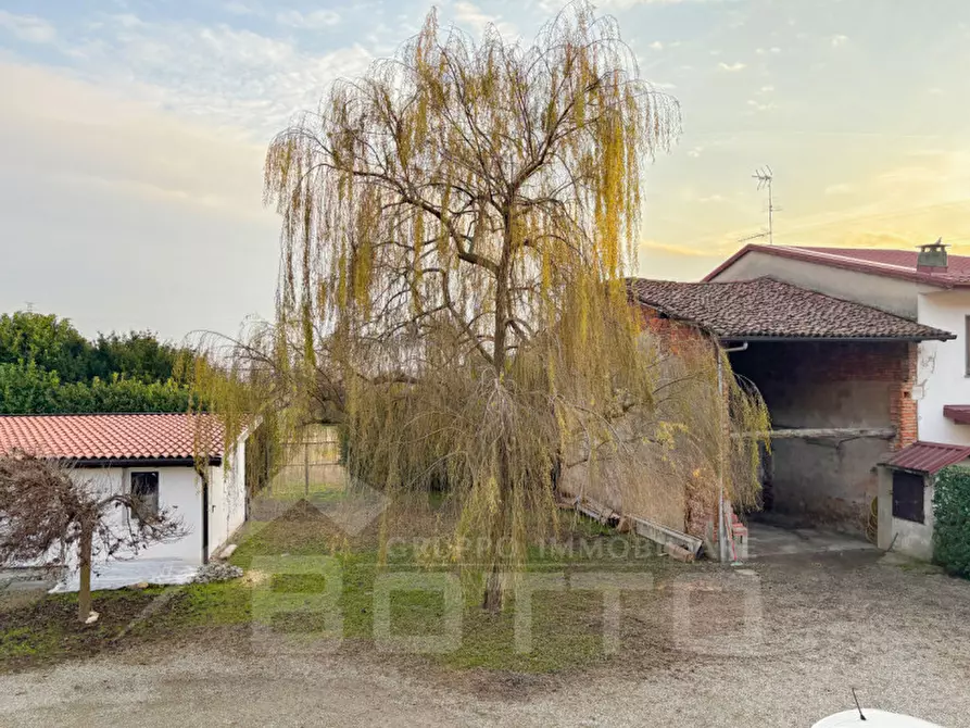 Immagine 23 di Casa indipendente in vendita  in via lanca n 14 oleggio a Oleggio