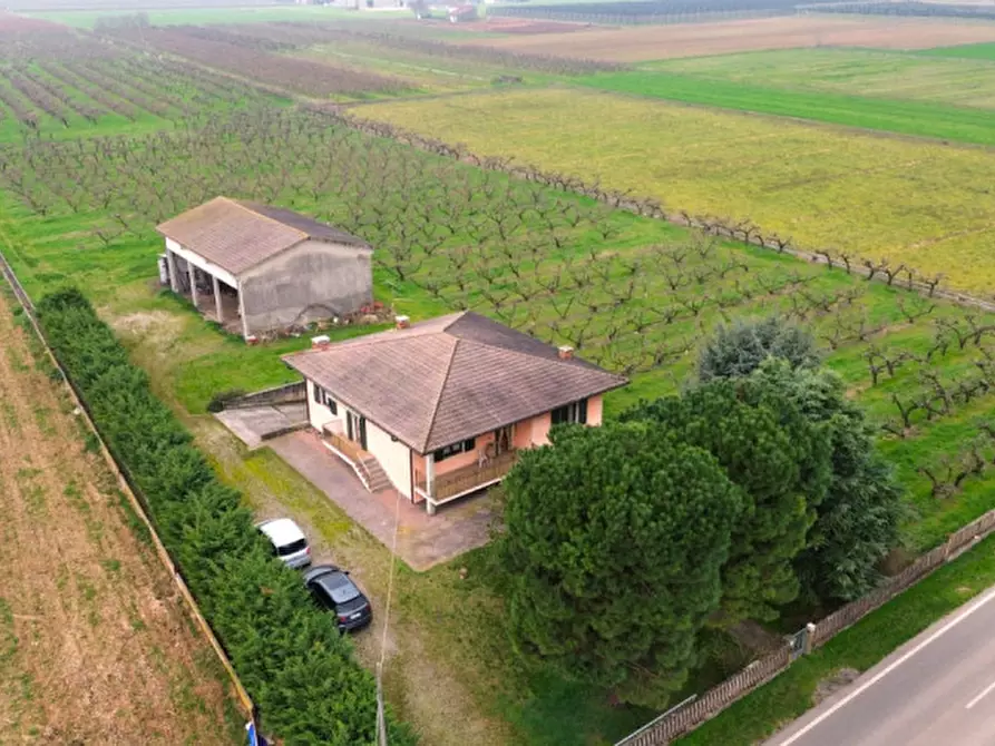 Immagine 1 di Villa in vendita  a Valeggio Sul Mincio