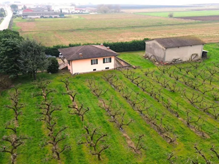 Immagine 5 di Villa in vendita  a Valeggio Sul Mincio