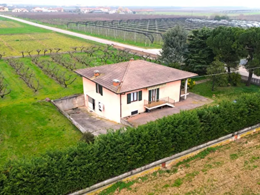 Immagine 10 di Villa in vendita  a Valeggio Sul Mincio