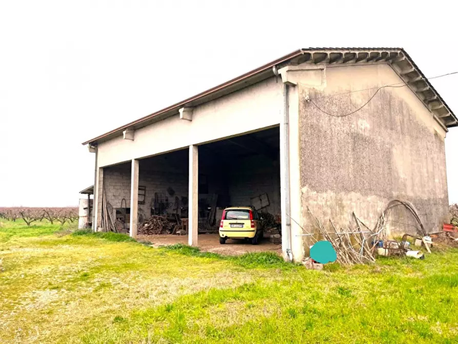 Immagine 13 di Villa in vendita  a Valeggio Sul Mincio