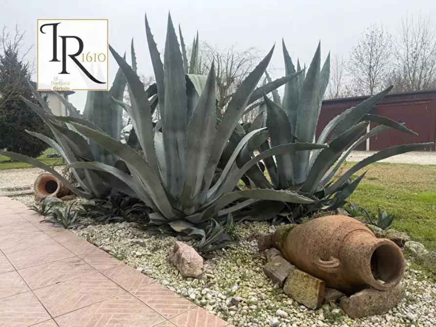 Immagine 22 di Casa indipendente in vendita  a Castelbaldo