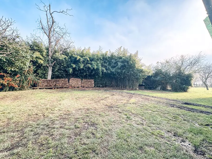 Immagine 41 di Casa indipendente in vendita  in via piana n 34 suno a Suno